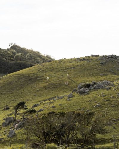 WhatsApp Image 2025-11-12 at 11.05.27